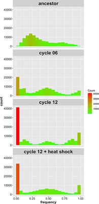 Corrigendum: Heat Shock Improves Random Spore Analysis in Diverse Strains of Saccharomyces cerevisiae